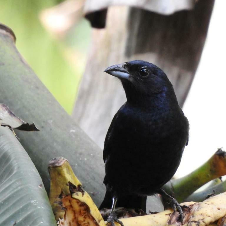 Chale Rio Dos Meros Villa Araquari Eksteriør bilde