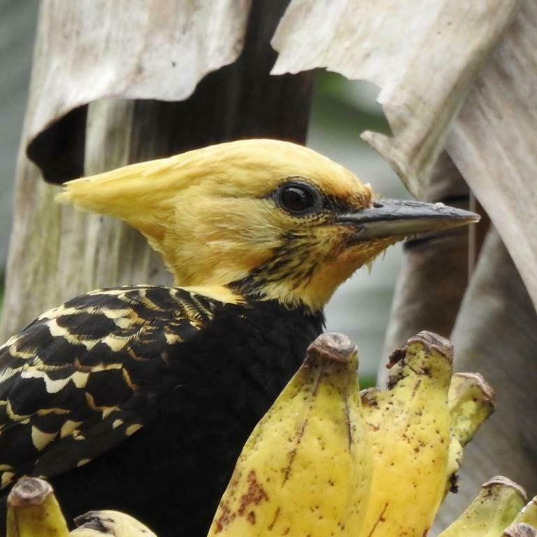 Chale Rio Dos Meros Villa Araquari Eksteriør bilde