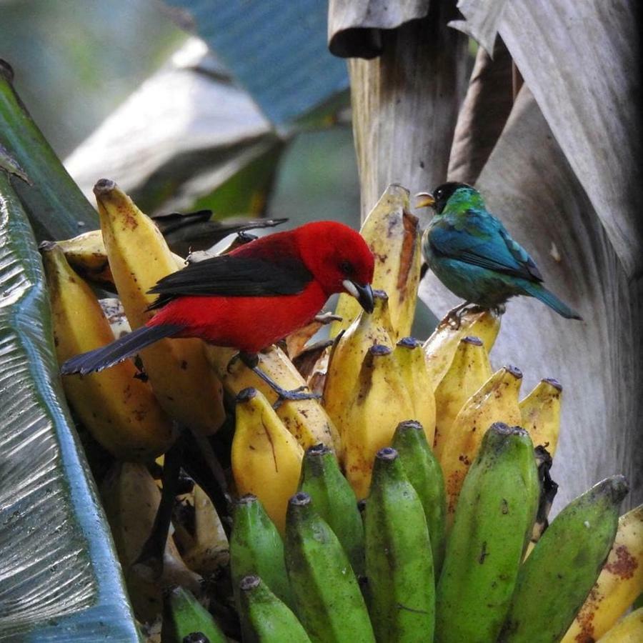 Chale Rio Dos Meros Villa Araquari Eksteriør bilde